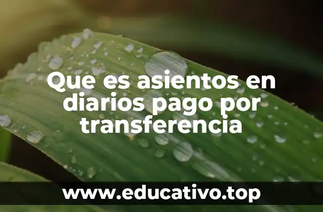 Que es asientos en diarios pago por transferencia