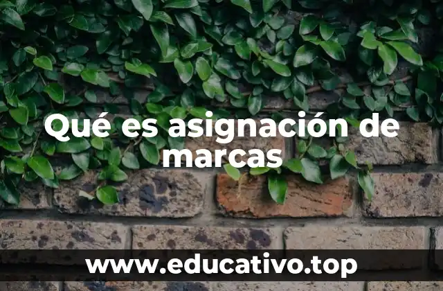 Qué es asignación de marcas