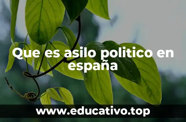 Que es asilo politico en españa