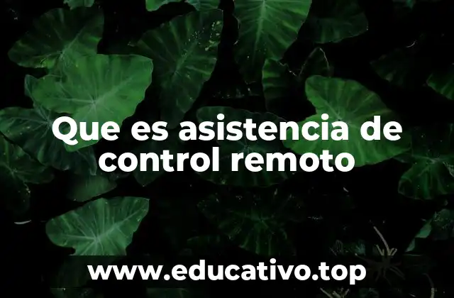 Que es asistencia de control remoto