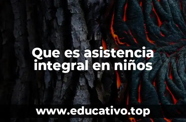 Que es asistencia integral en niños