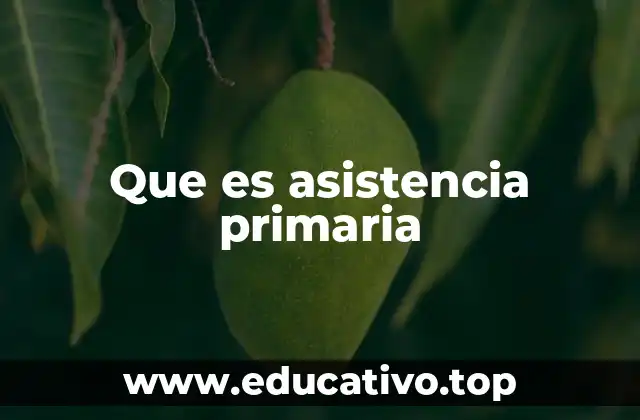 Que es asistencia primaria