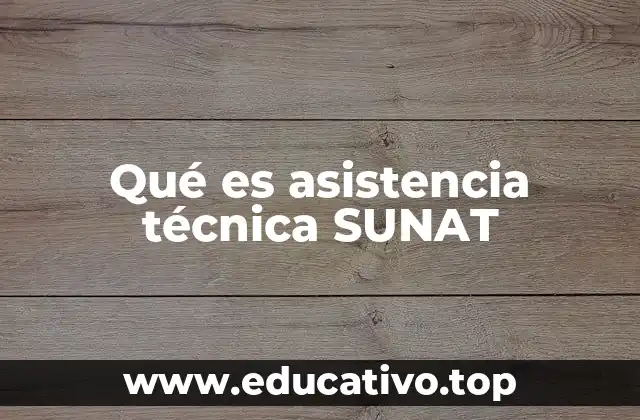 Qué es asistencia técnica SUNAT