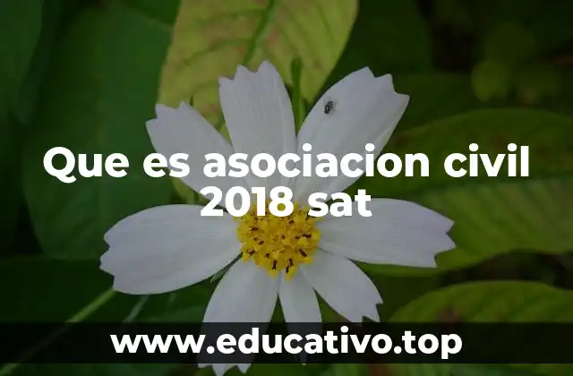 Que es asociacion civil 2018 sat