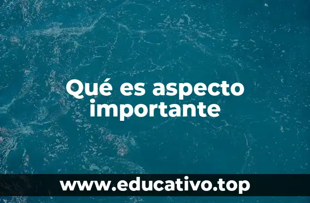 Qué es aspecto importante