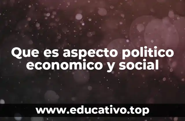 Que es aspecto politico economico y social