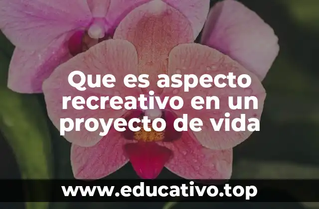 Que es aspecto recreativo en un proyecto de vida