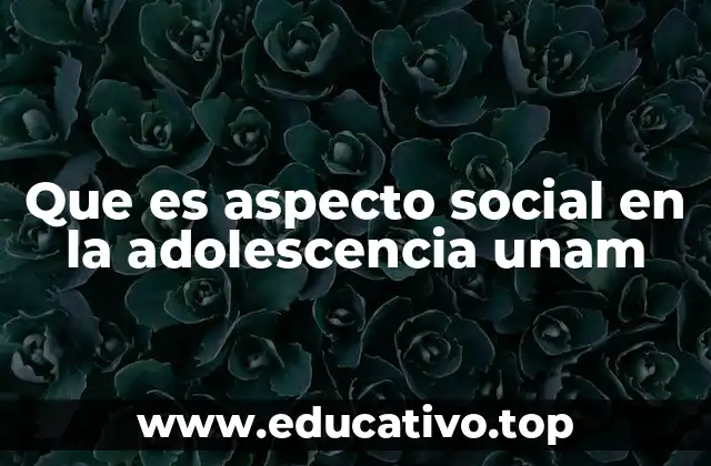 Que es aspecto social en la adolescencia unam