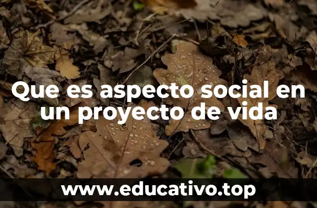 Que es aspecto social en un proyecto de vida