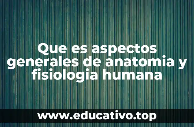 Que es aspectos generales de anatomia y fisiologia humana