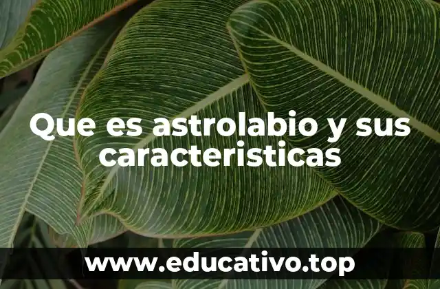 Que es astrolabio y sus caracteristicas