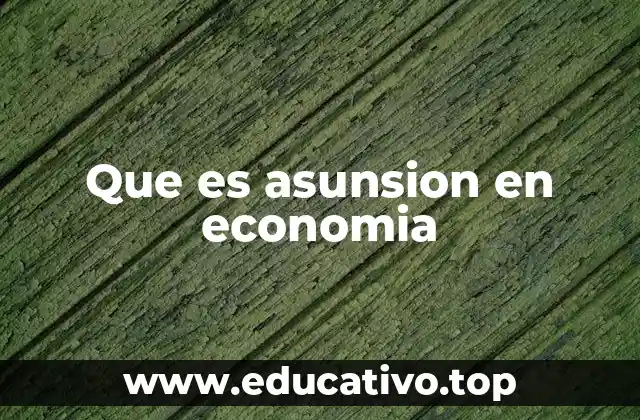 Que es asunsion en economia