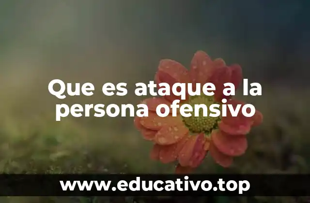Que es ataque a la persona ofensivo