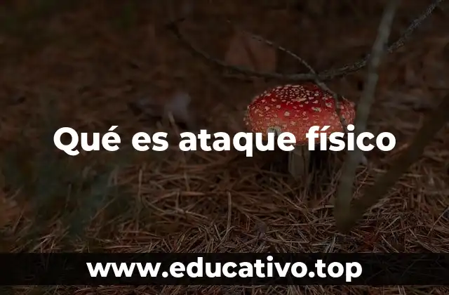 Qué es ataque físico