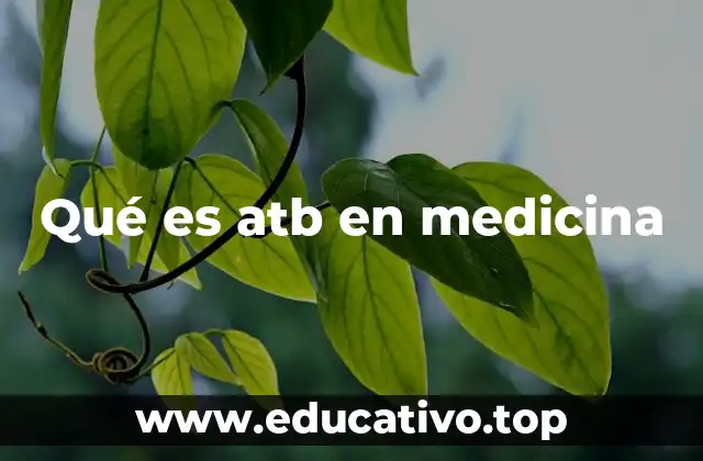 Qué es atb en medicina