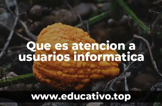 Que es atencion a usuarios informatica