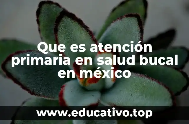Que es atención primaria en salud bucal en méxico