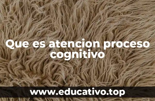 Que es atencion proceso cognitivo