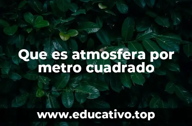 Que es atmosfera por metro cuadrado