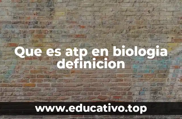 Que es atp en biologia definicion