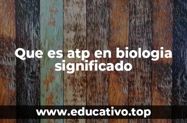 Que es atp en biologia significado
