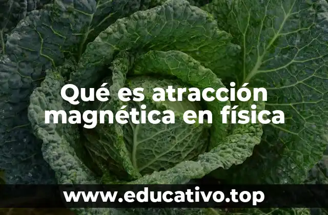 Qué es atracción magnética en física