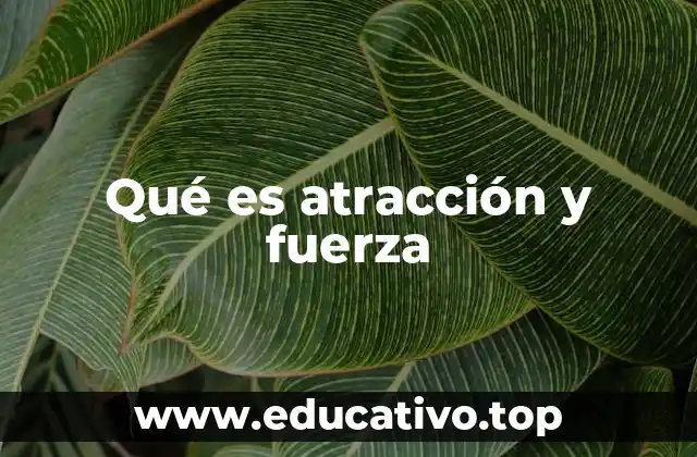 Qué es atracción y fuerza