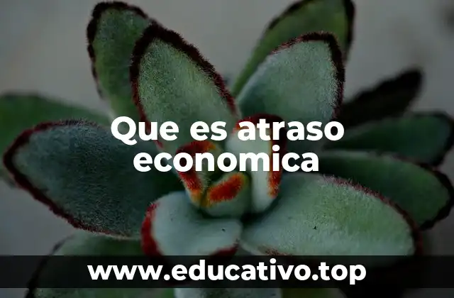 Que es atraso economica