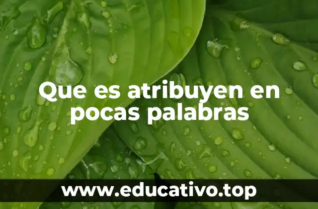 Que es atribuyen en pocas palabras