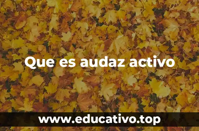 Que es audaz activo