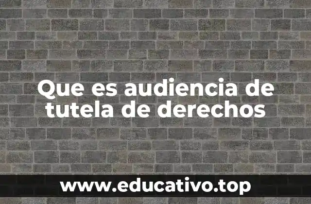 Que es audiencia de tutela de derechos
