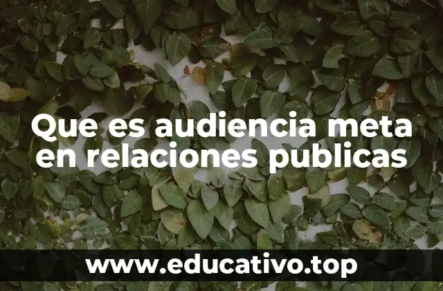 Que es audiencia meta en relaciones publicas