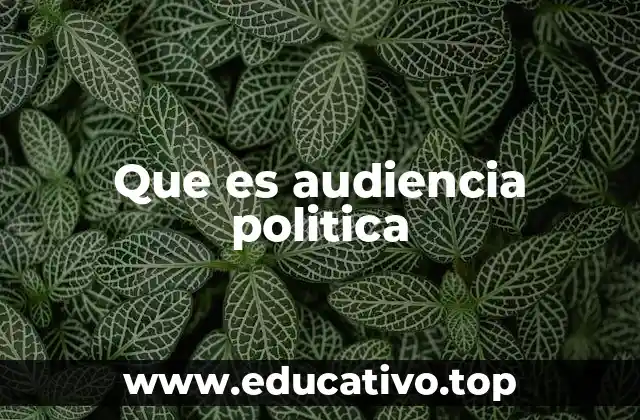 Que es audiencia politica