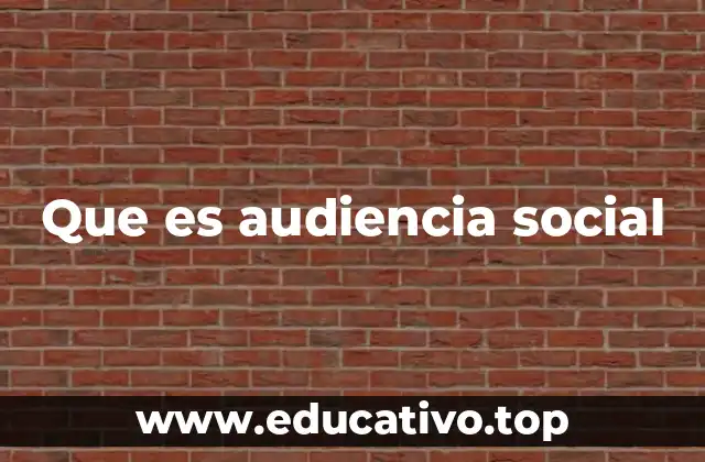 Que es audiencia social