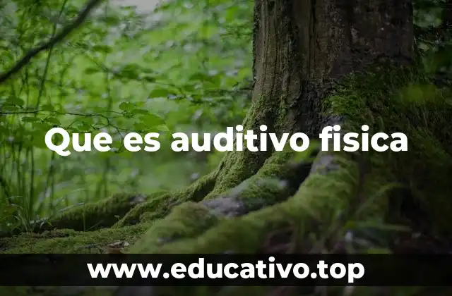 Que es auditivo fisica