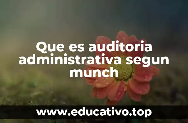 Que es auditoria administrativa segun munch