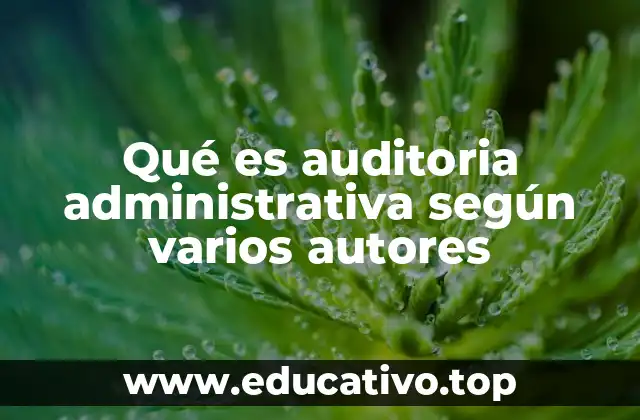 El rol de la auditoría administrativa en la gestión empresarial