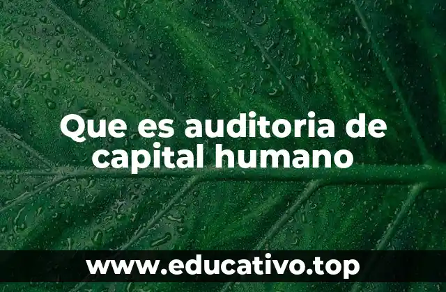 Que es auditoria de capital humano