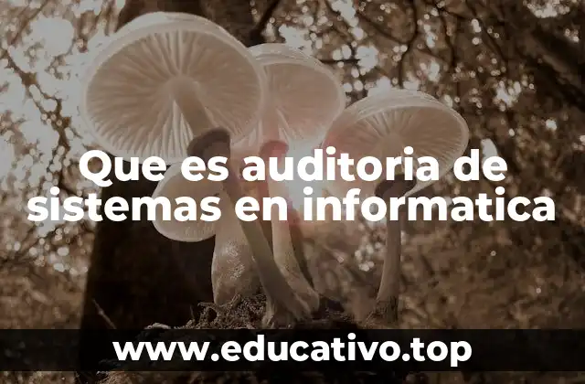 Que es auditoria de sistemas en informatica
