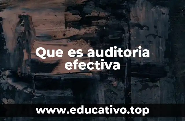 Que es auditoria efectiva