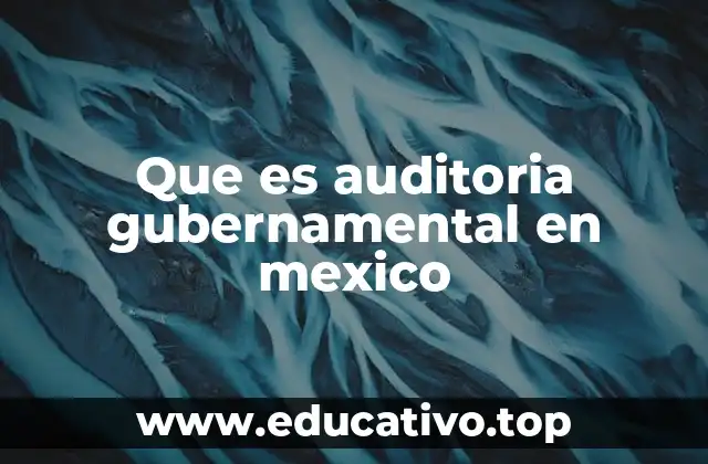 Que es auditoria gubernamental en mexico