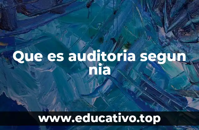 Que es auditoria segun nia