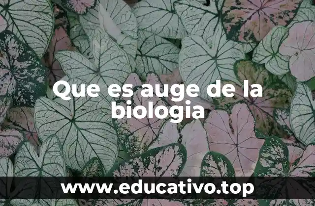 Que es auge de la biologia
