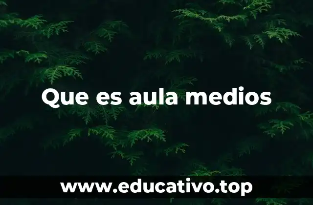 Que es aula medios