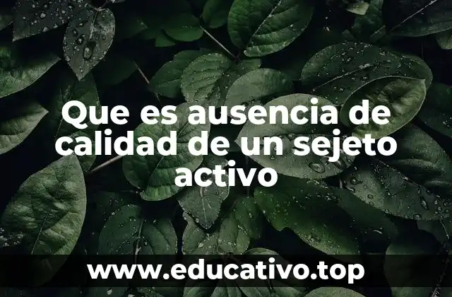 Que es ausencia de calidad de un sejeto activo