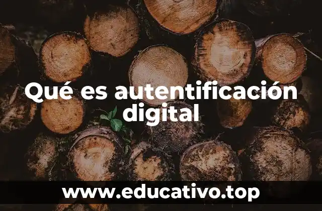 Qué es autentificación digital