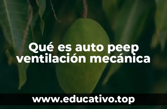 Qué es auto peep ventilación mecánica