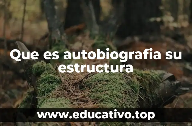 Que es autobiografia su estructura