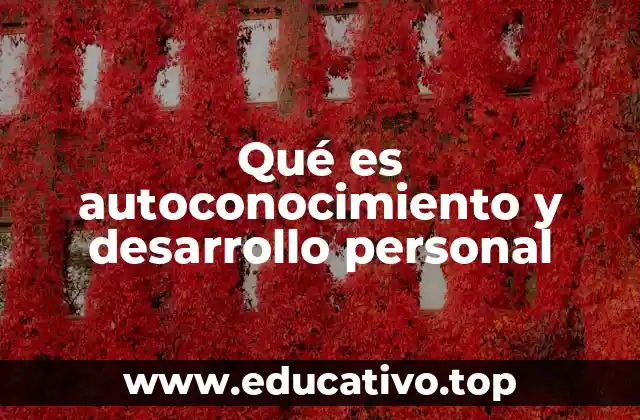 La conexión entre la introspección y la evolución personal