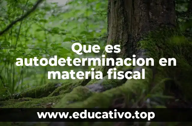 Que es autodeterminacion en materia fiscal